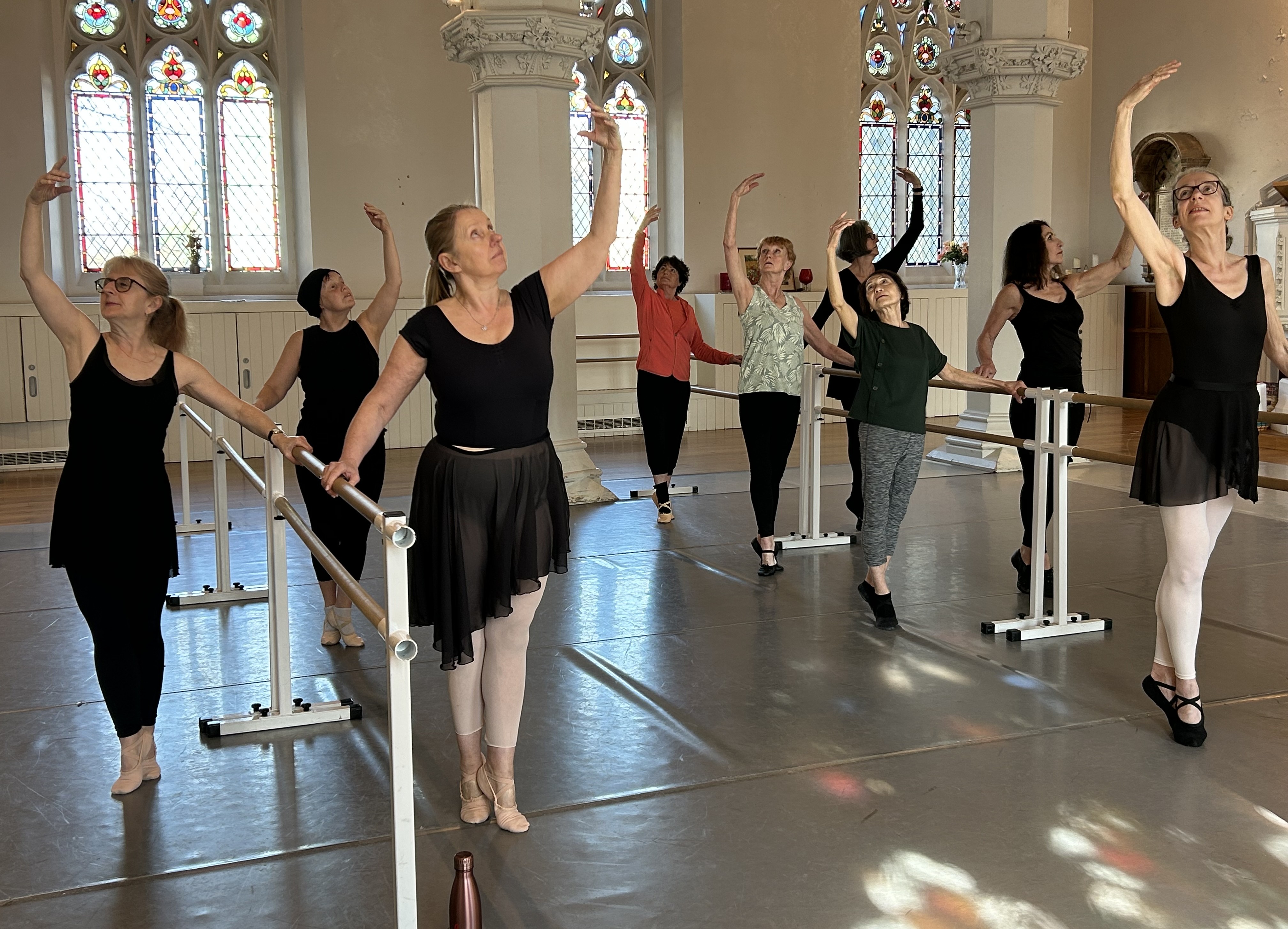 Silver Swan Adult Ballet